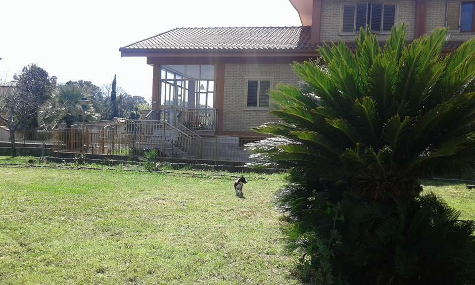Villa Lucia Affitta Camere ฟอร์เมีย ภายนอก รูปภาพ